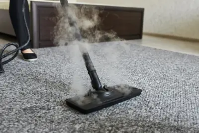 Carpet Steam Cleaning